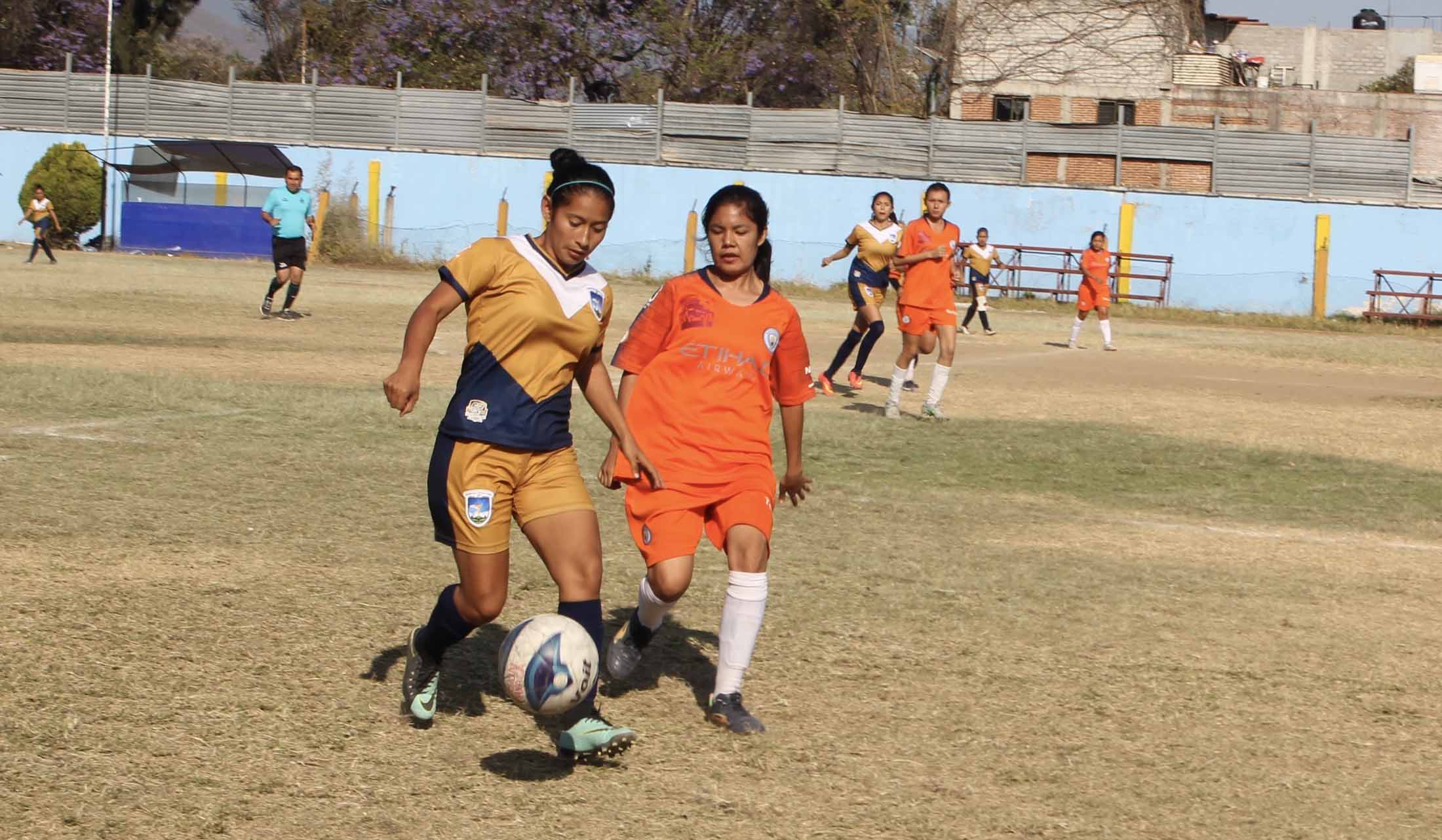 Gavilancitas campeonas 2