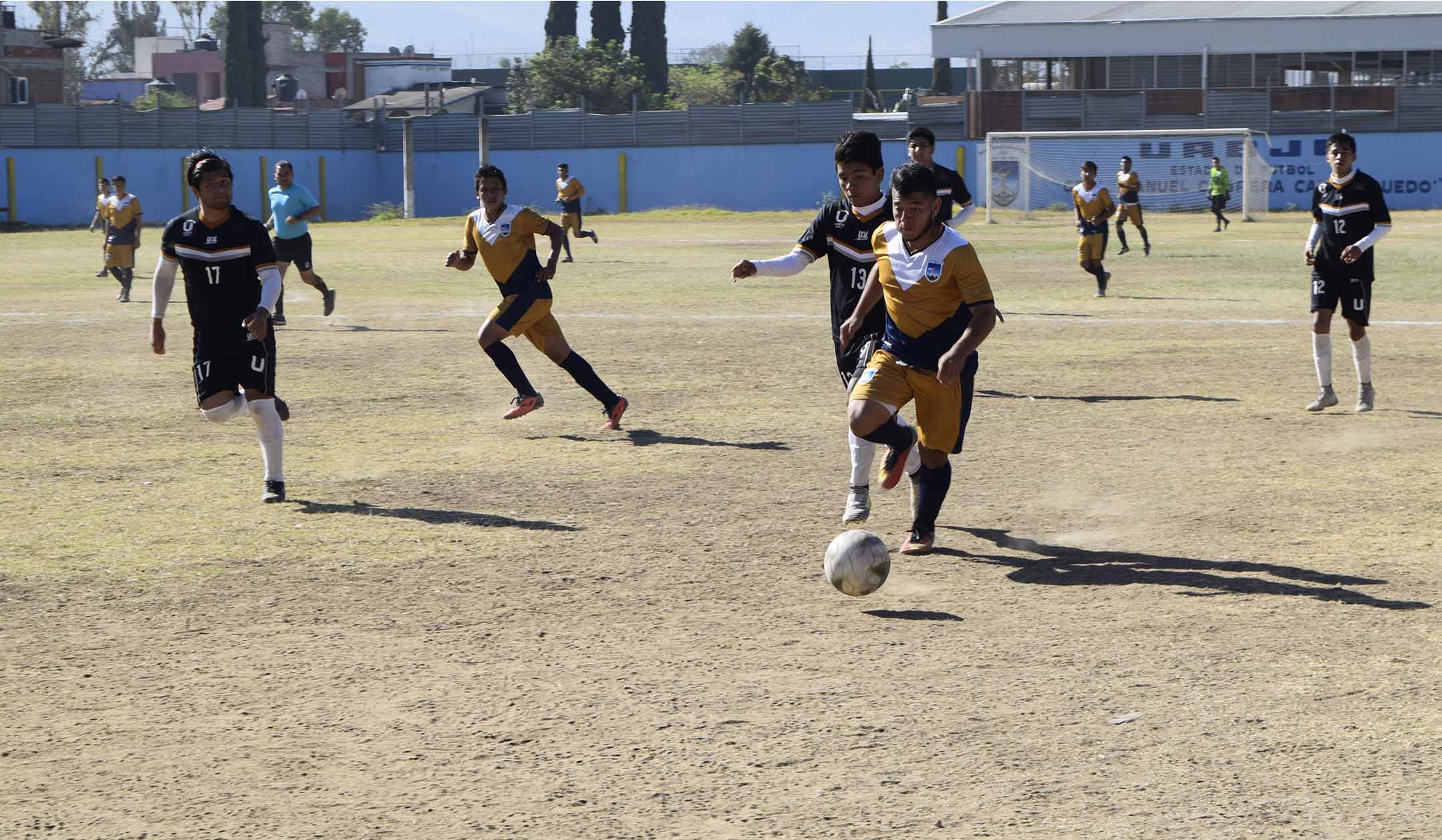 Gavilanes futbol campeones